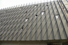 ����Ļǽ������