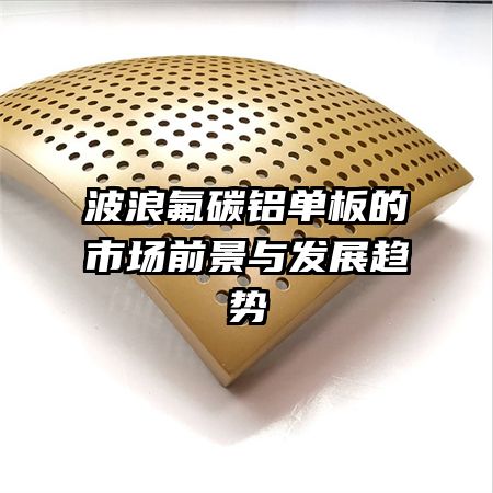 ���˷�̼��������г�ǰ���뷢չ����