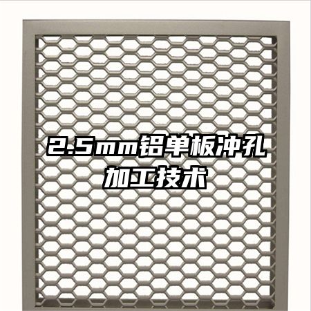 2.5mm�������׼ӹ�����