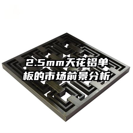 2.5mm�컨��������г�ǰ������