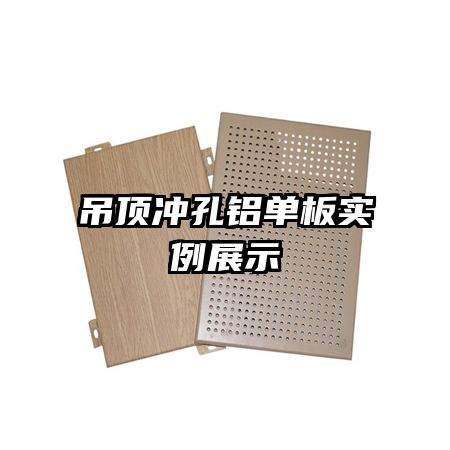 �������������ʵ��չʾ