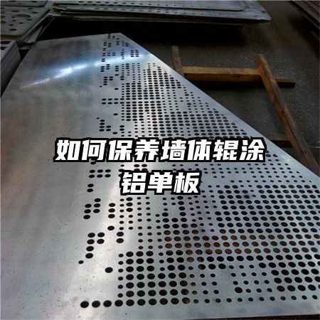 ��α���ǽ���Ϳ������