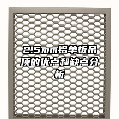 2.5mm������������ŵ��ȱ�����