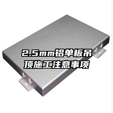 2.5mm���������ʩ��ע������