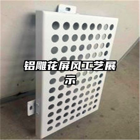 �������繤��չʾ