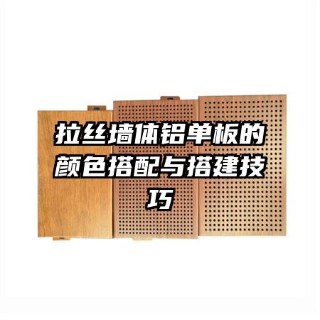 ��˿ǽ�����������ɫ����������