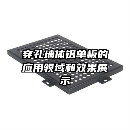 ����ǽ���������Ӧ�������Ч��չʾ