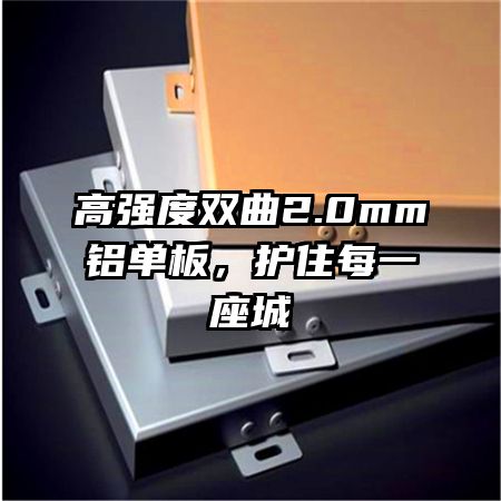 ��ǿ��˫��2.0mm�����壬��סÿһ����