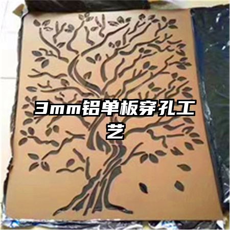 3mm�����崩�׹���