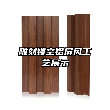 ����ο������繤��չʾ