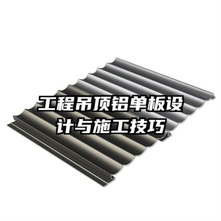 ���̵��������������ʩ������