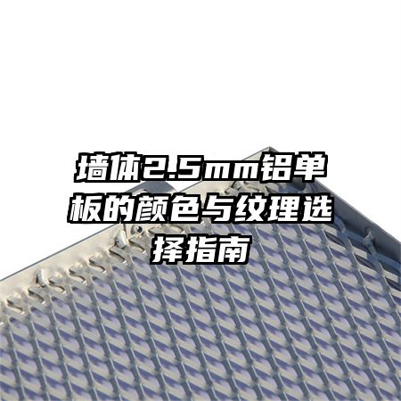 ǽ��2.5mm���������ɫ������ѡ��ָ��